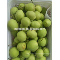 Shandong Pears Big Sizes